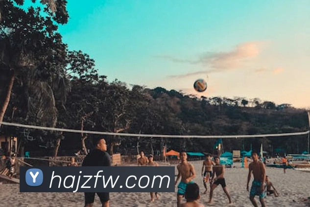 开云app网站登录APP 封面图